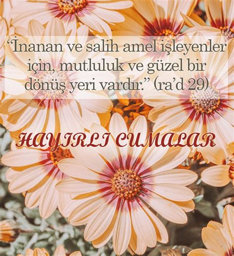 Sir-Ayet 4 2025